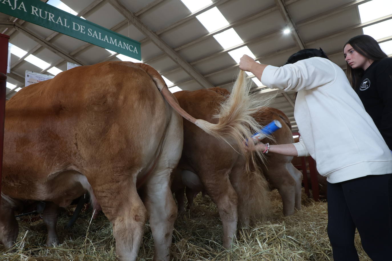 Las mejores imágenes del segundo día de Salamaq 2025