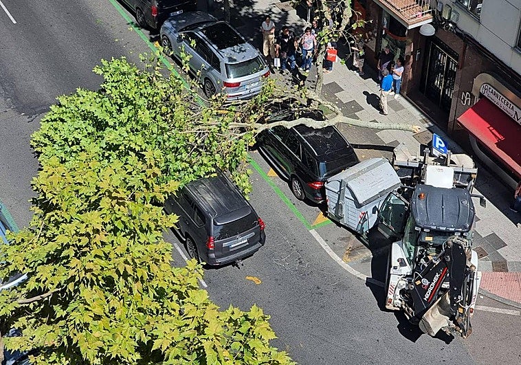 Imagen del incidente.