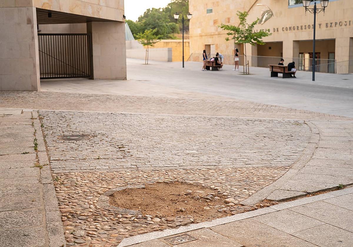Un misterio en San Bartolomé