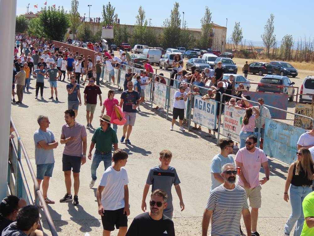 Un utrero de 540 kilos llena las calles de Macotera