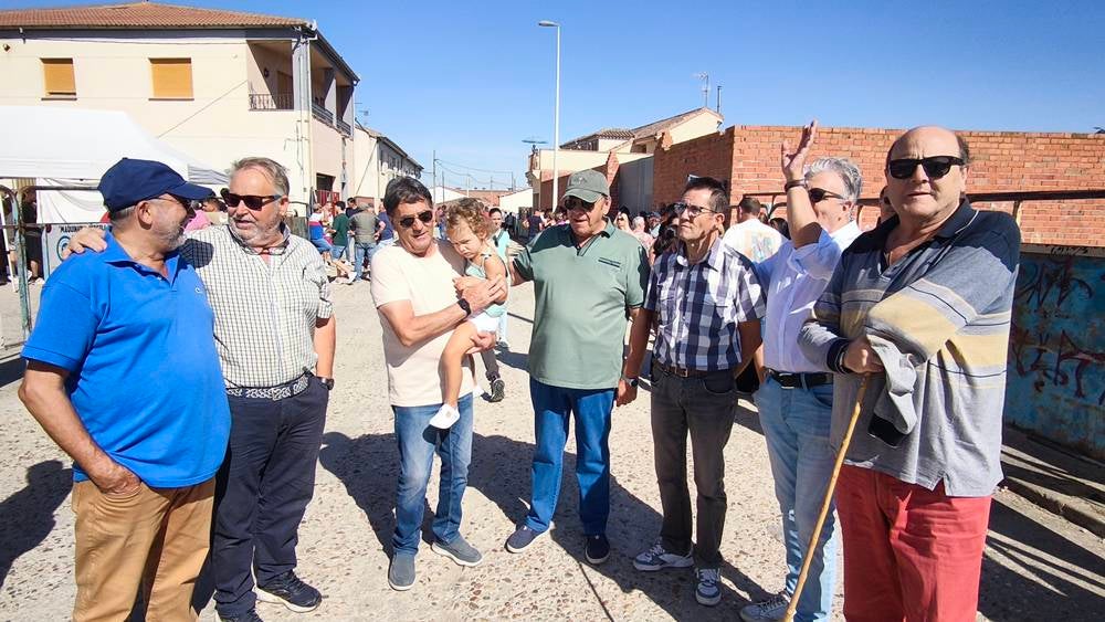 Entretenida mañana con los minibueyes en Macotera