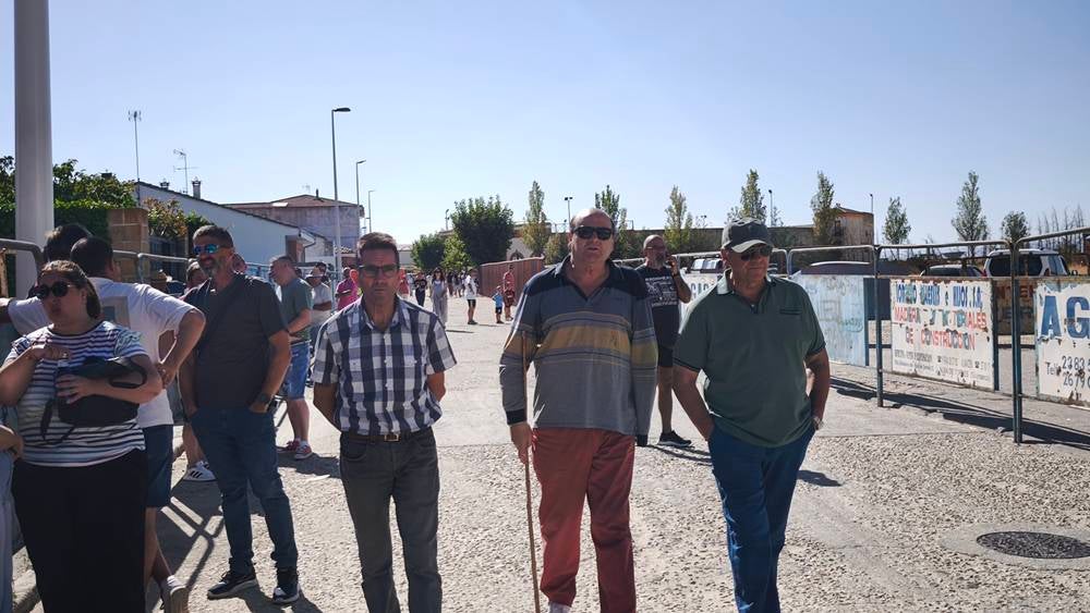 Entretenida mañana con los minibueyes en Macotera