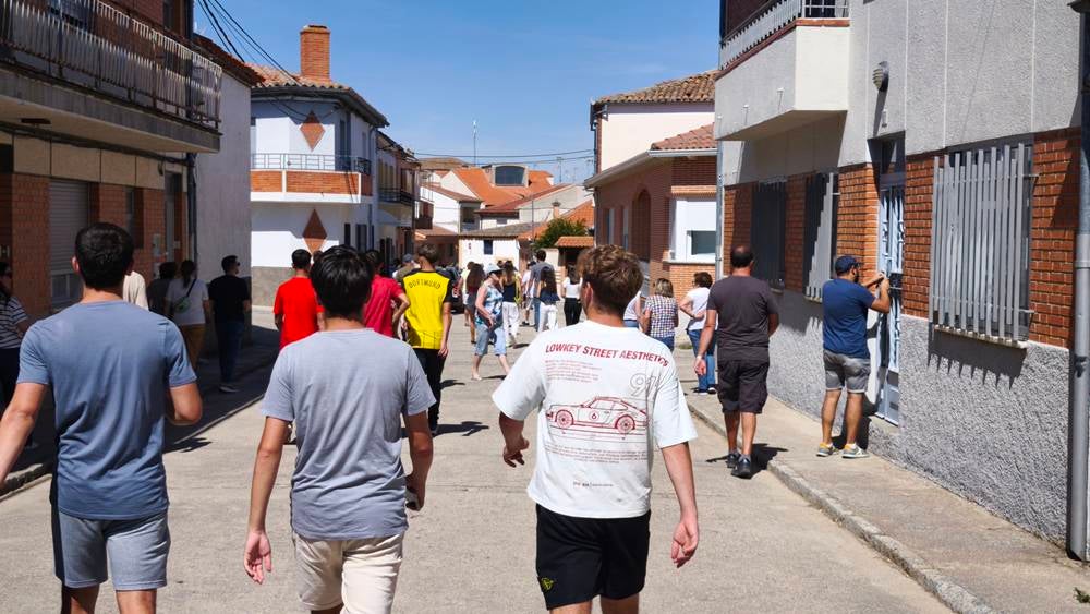 Un utrero de 540 kilos llena las calles de Macotera