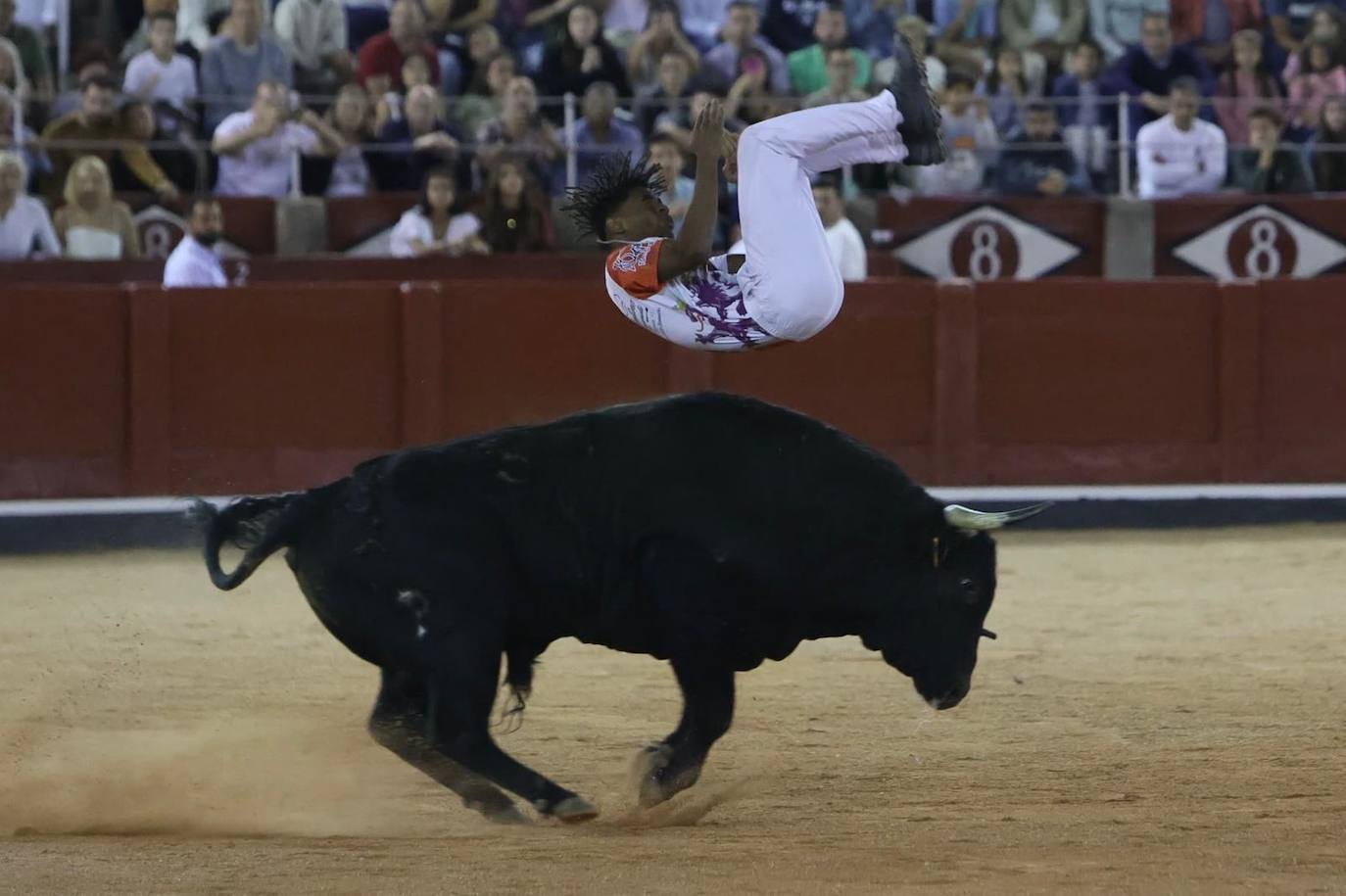 Las mejores imágenes del espectacular concurso de recortes que abrió la Feria en La Glorieta