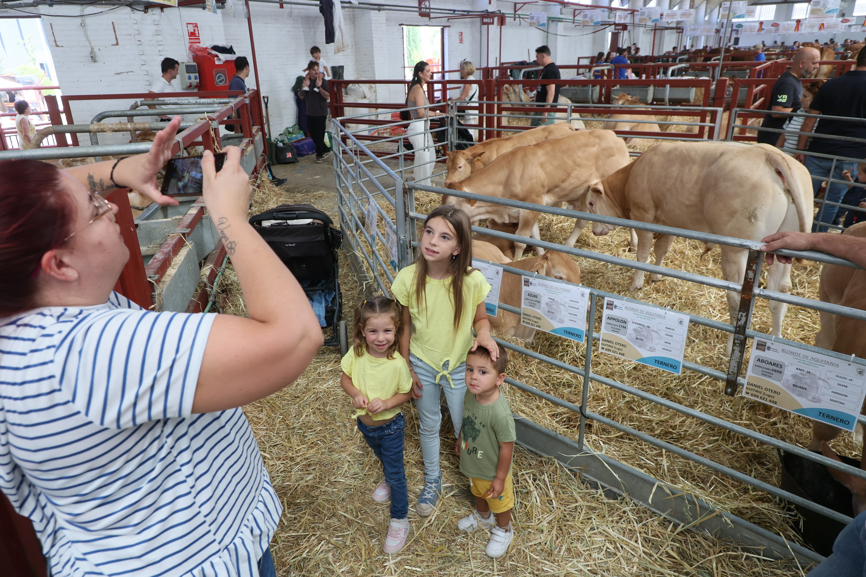 Las mejores imágenes del tercer día de Salamaq 2025