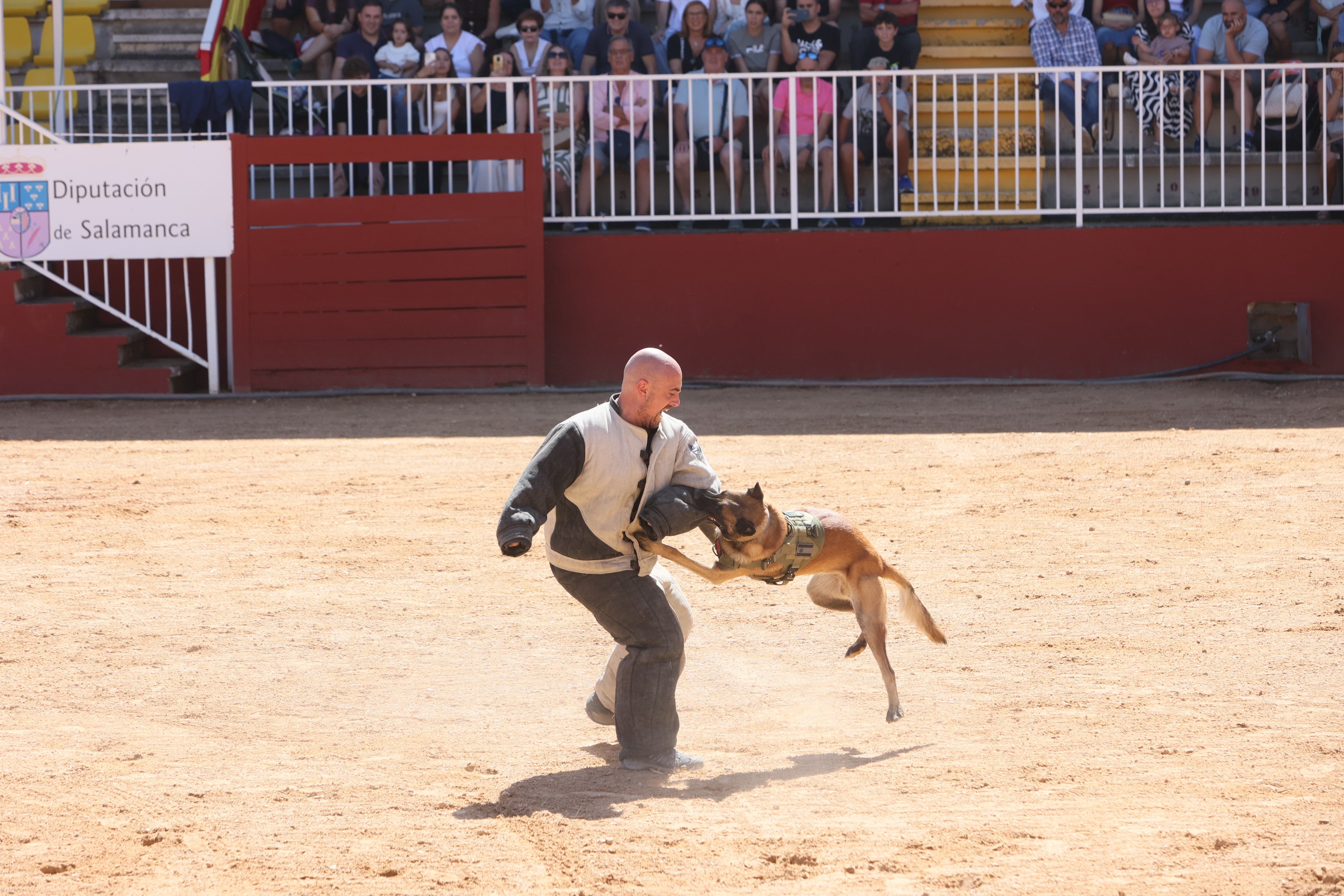 Las mejores imágenes del tercer día de Salamaq 2025