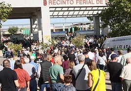 Imagen de las largas colas que se han formado en las inmediaciones del recinto.