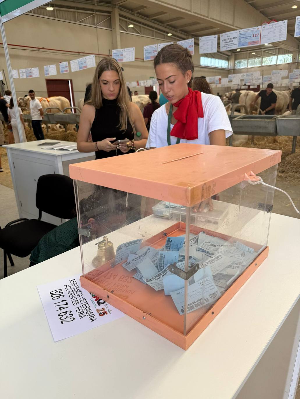 Urna instalada en el recinto para llevar a cabo la porra.