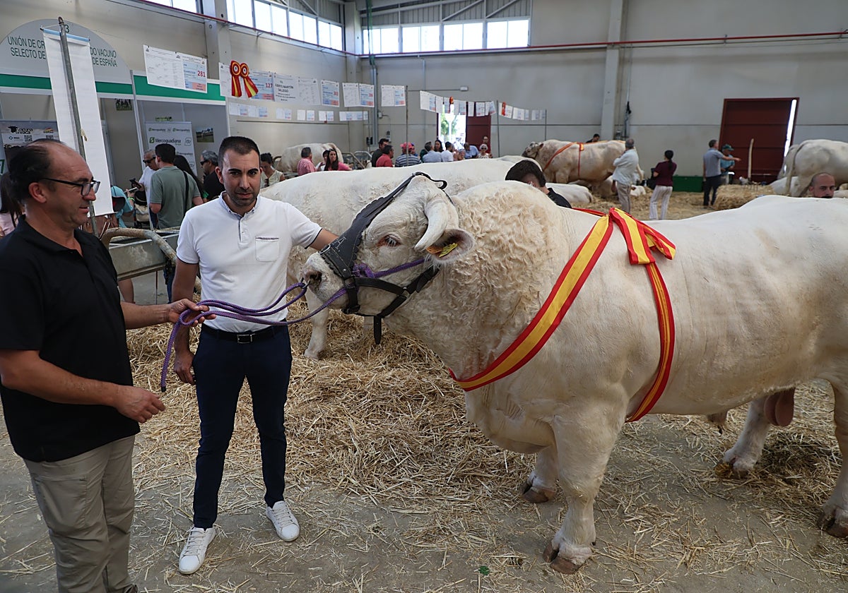 Las mejores imágenes del tercer día de Salamaq 2025