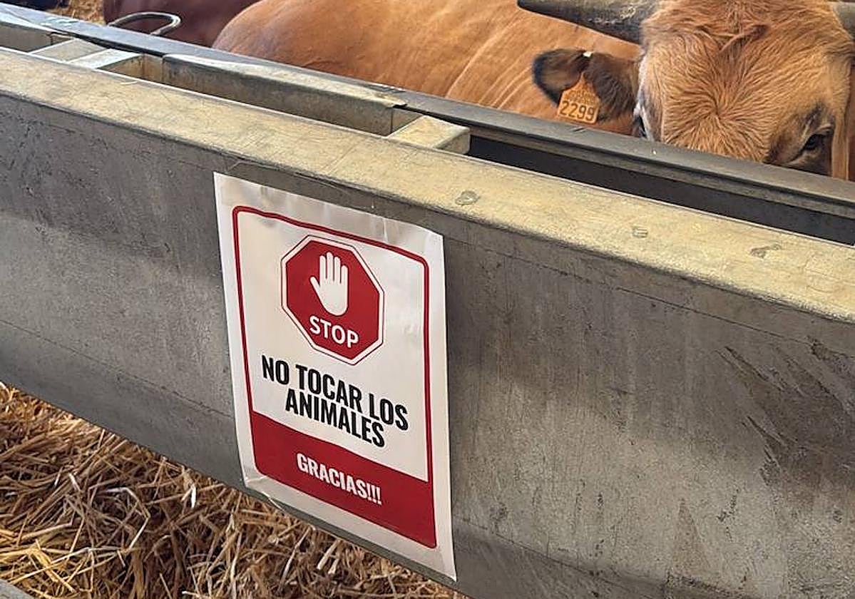 Imagen de uno de los carteles en los que se realiza la petición que se pueden ver en la feria.