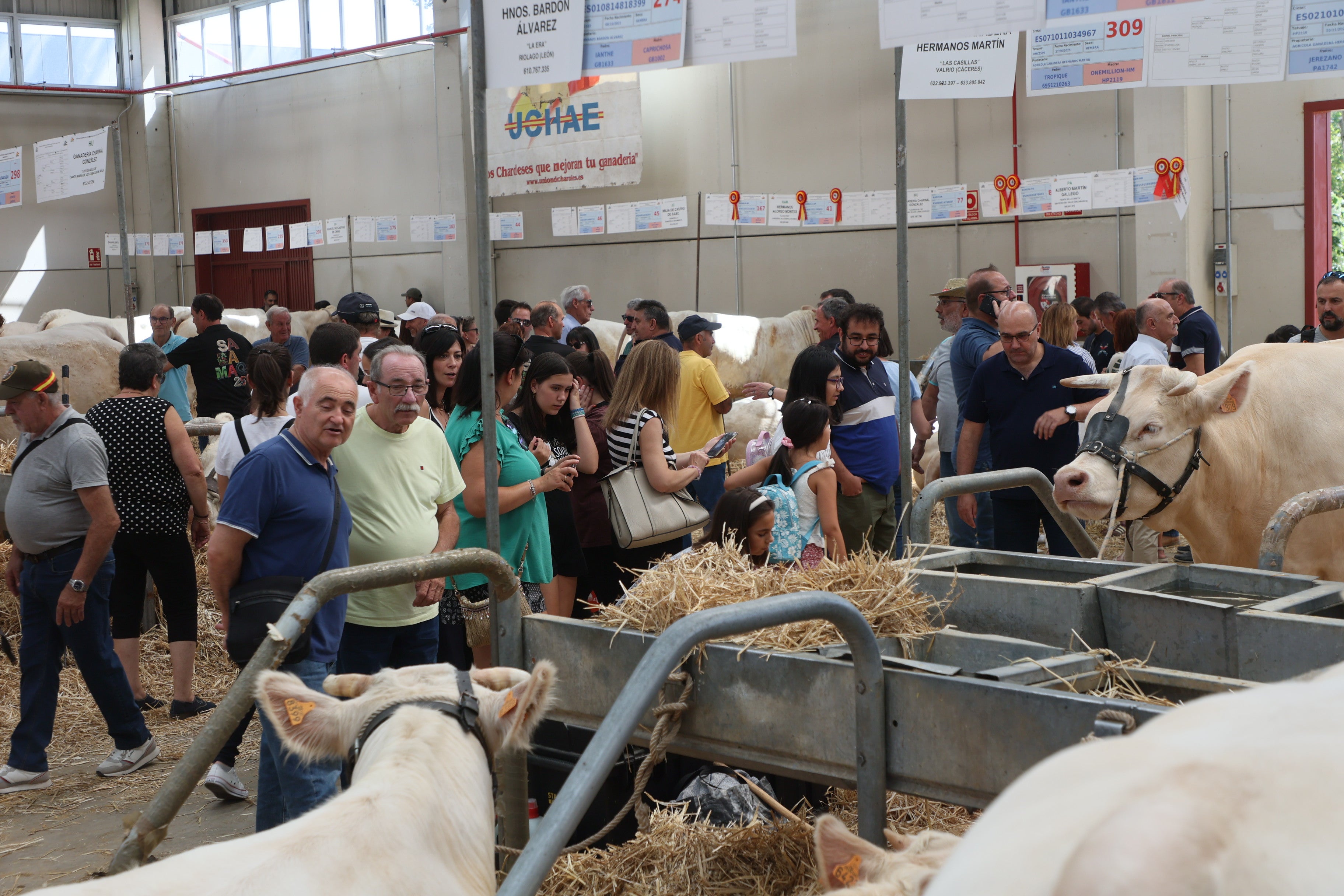 Las mejores imágenes del tercer día de Salamaq 2025