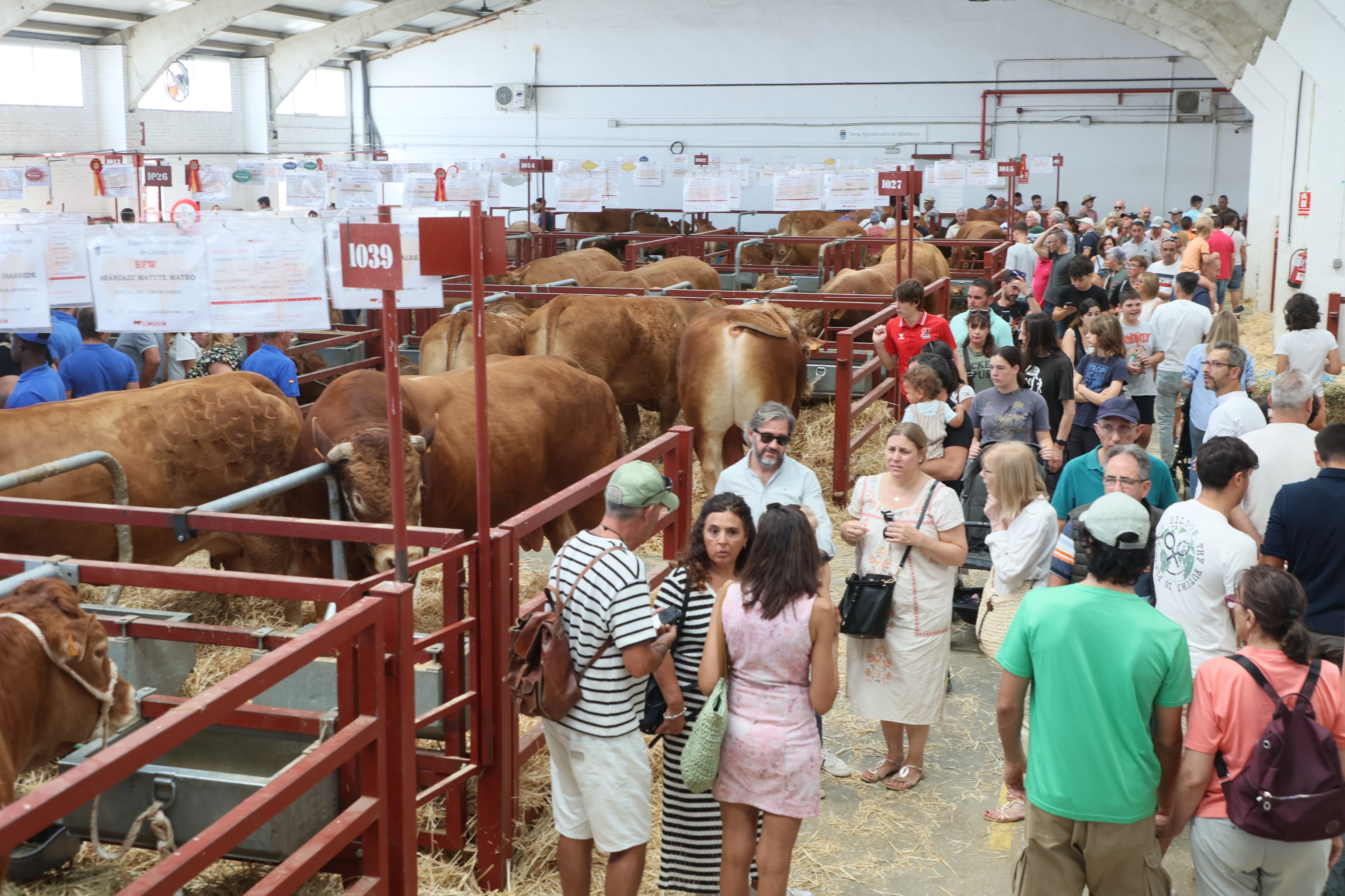 Las mejores imágenes del tercer día de Salamaq 2025