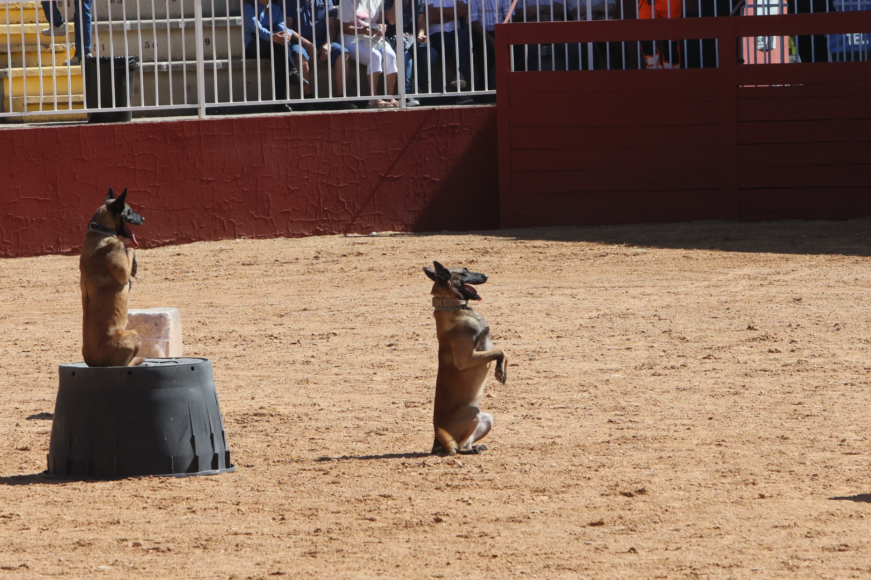 Las mejores imágenes del tercer día de Salamaq 2025