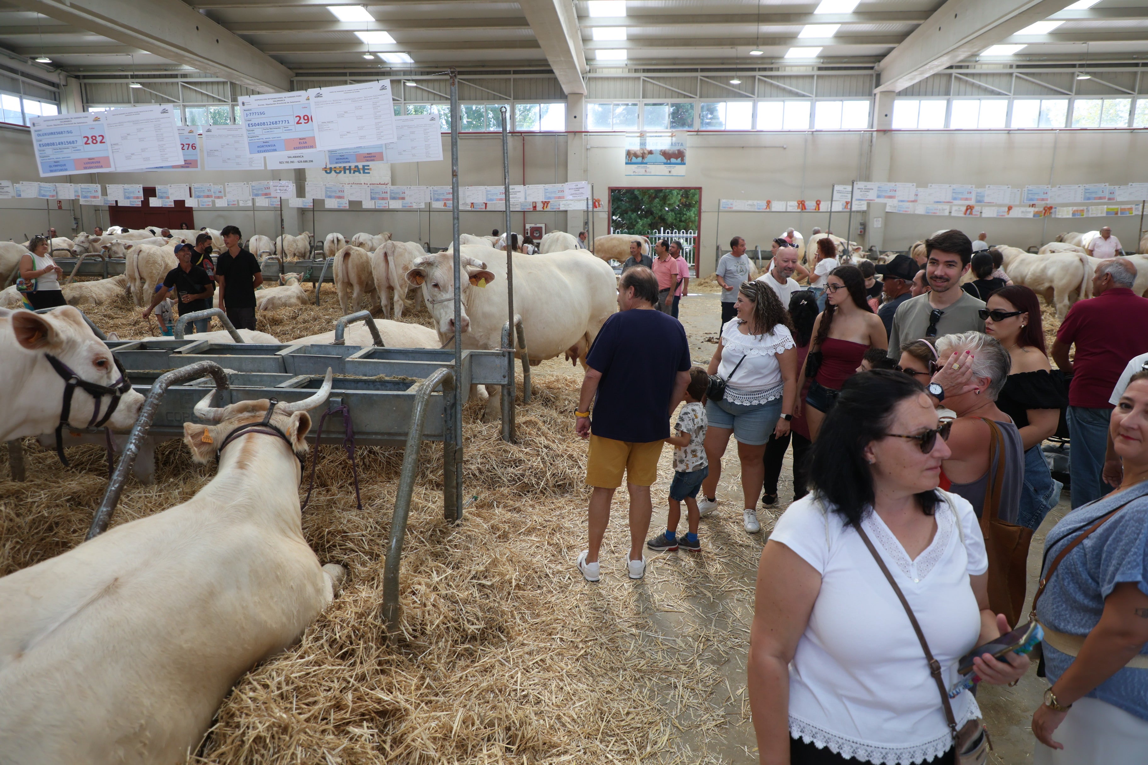 Las mejores imágenes del tercer día de Salamaq 2025