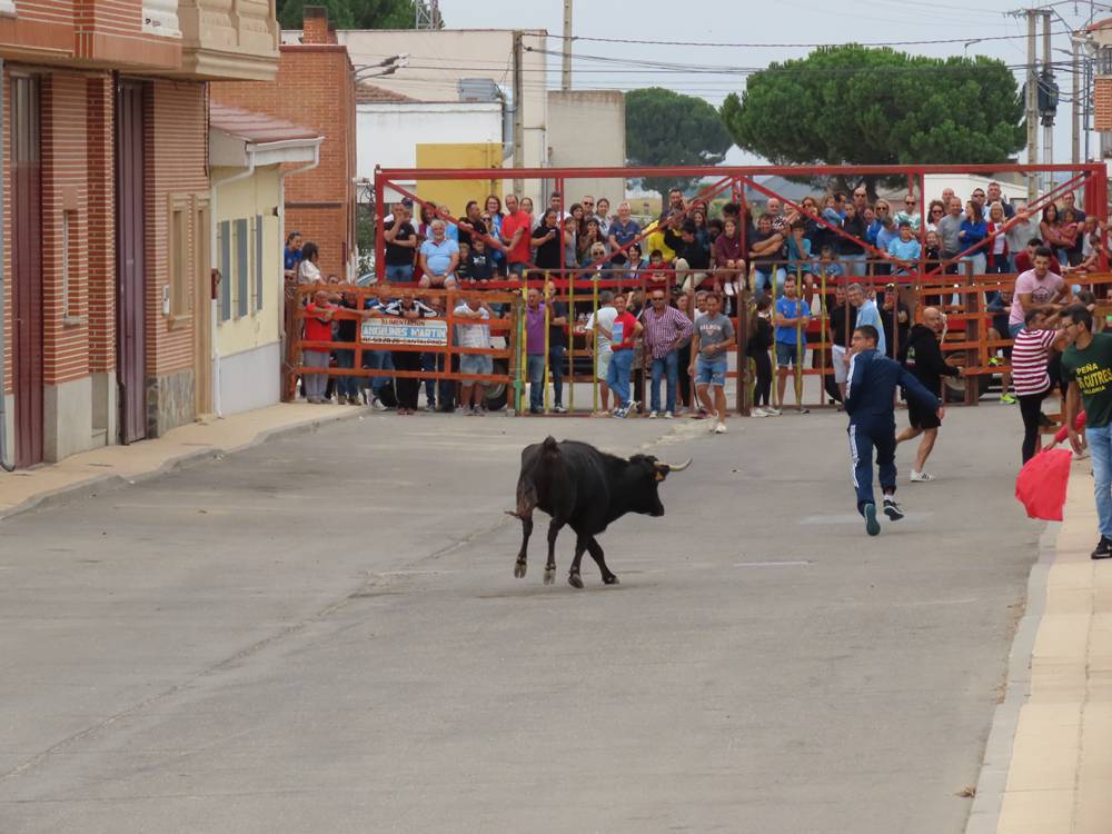 1.800 raciones de paella en Villoria