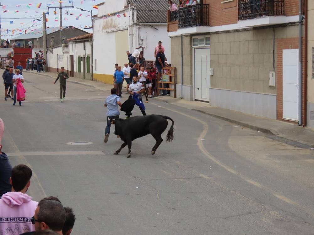 1.800 raciones de paella en Villoria