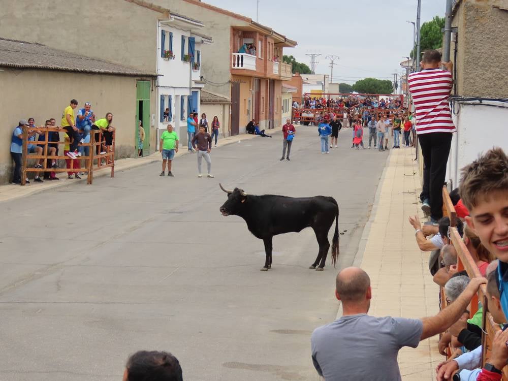1.800 raciones de paella en Villoria