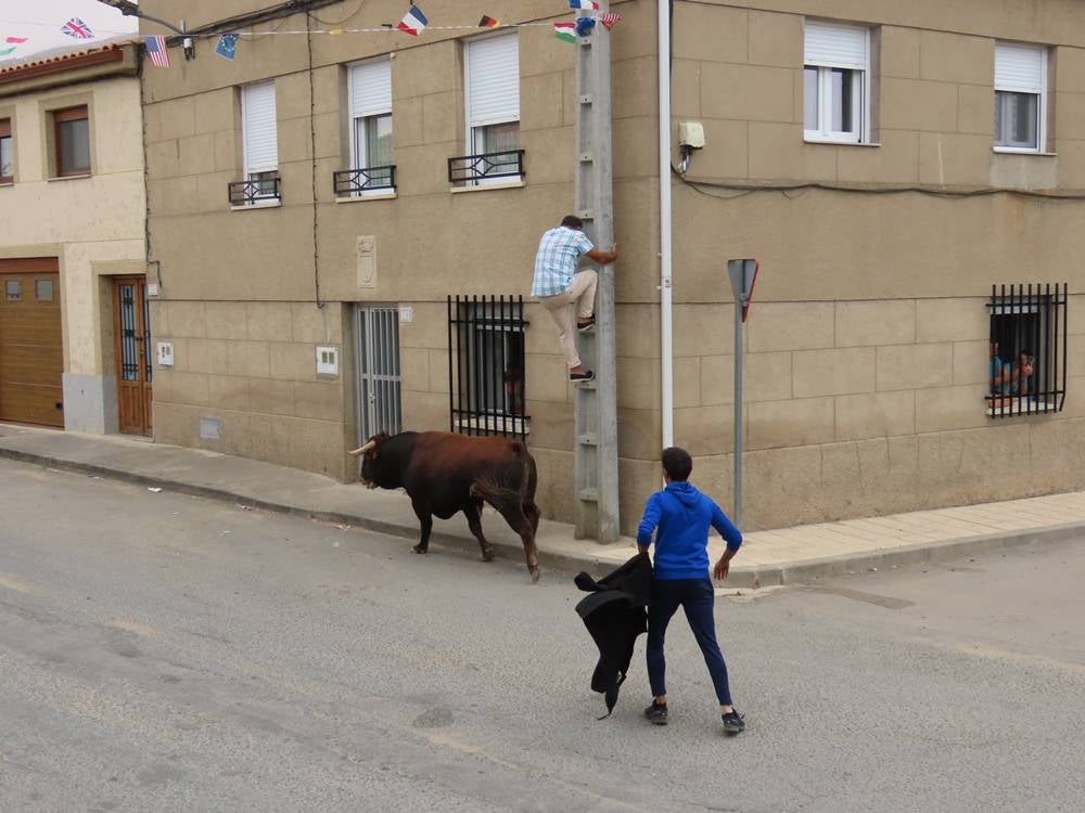 1.800 raciones de paella en Villoria