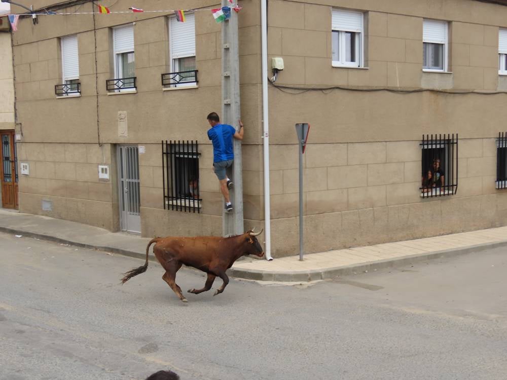 1.800 raciones de paella en Villoria
