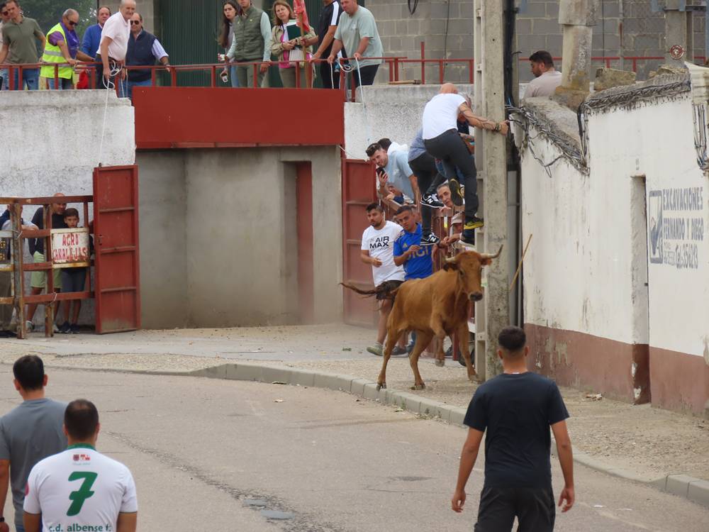 1.800 raciones de paella en Villoria