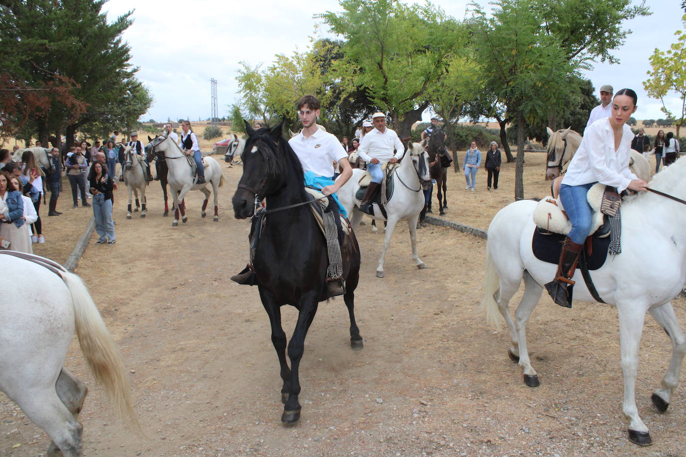 Honores a la Virgen del Carrascal en Cespedosa de Tormes
