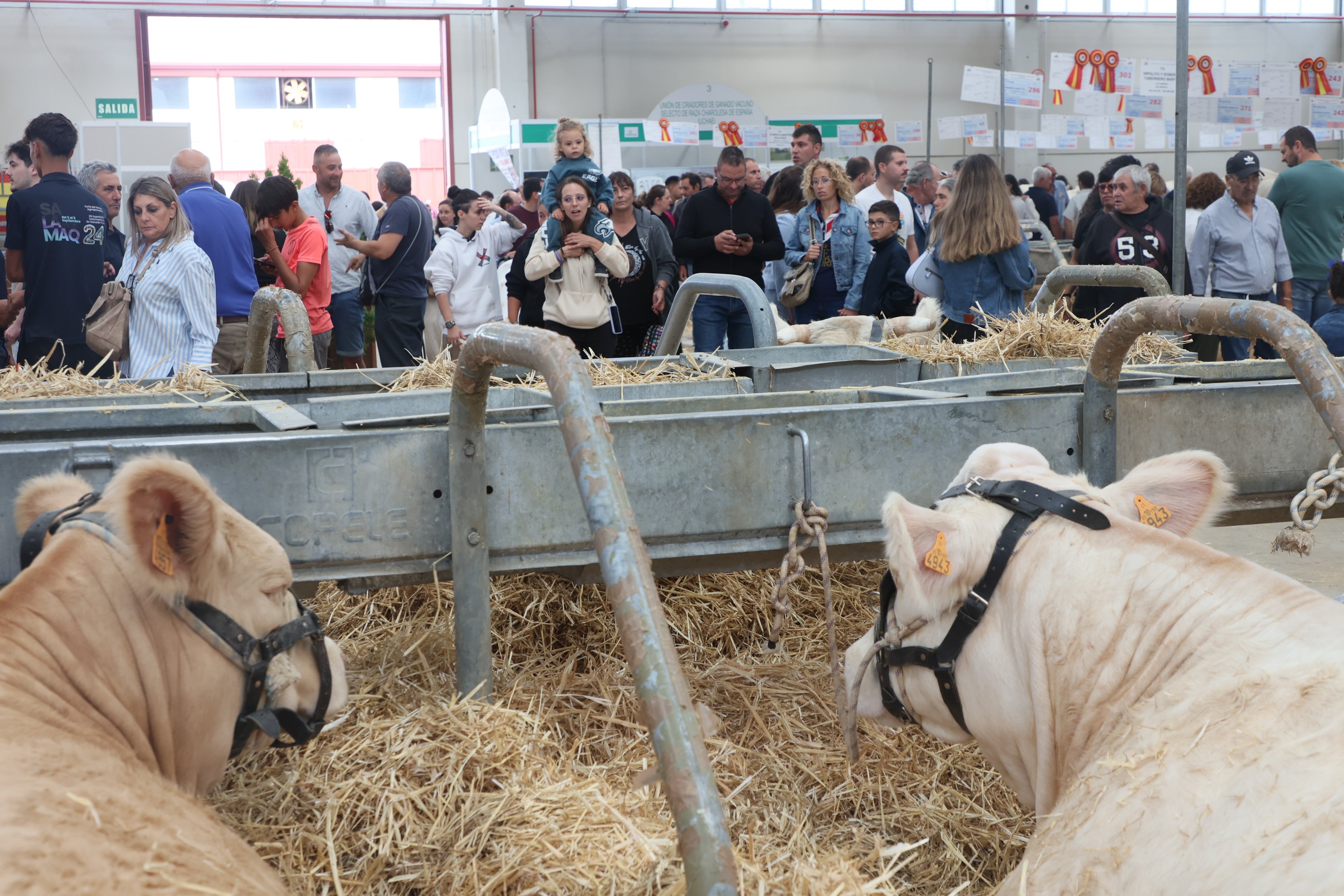 Las mejores imágenes del cuarto día de &#039;Salamaq 2025&#039;