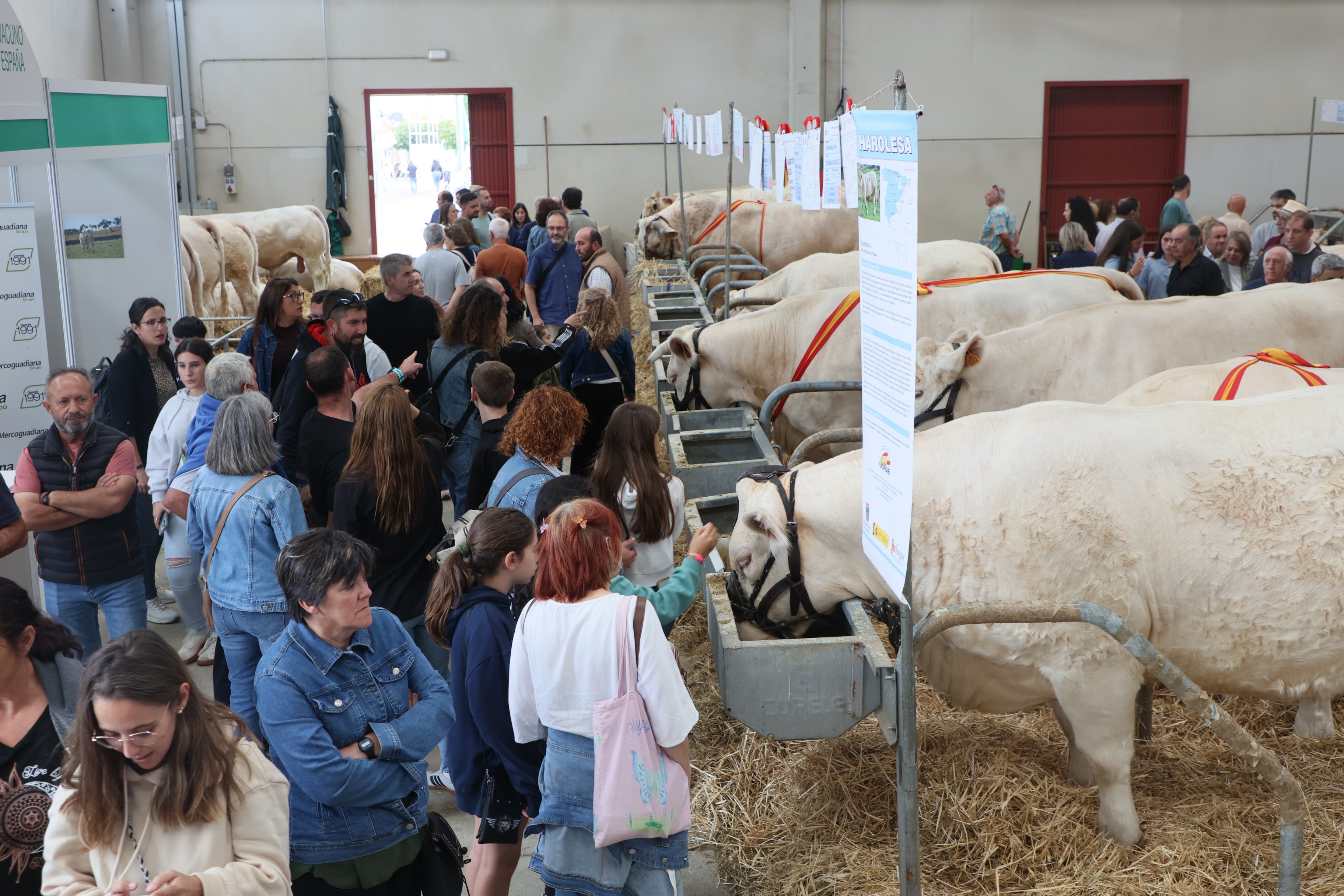 Las mejores imágenes del cuarto día de &#039;Salamaq 2025&#039;