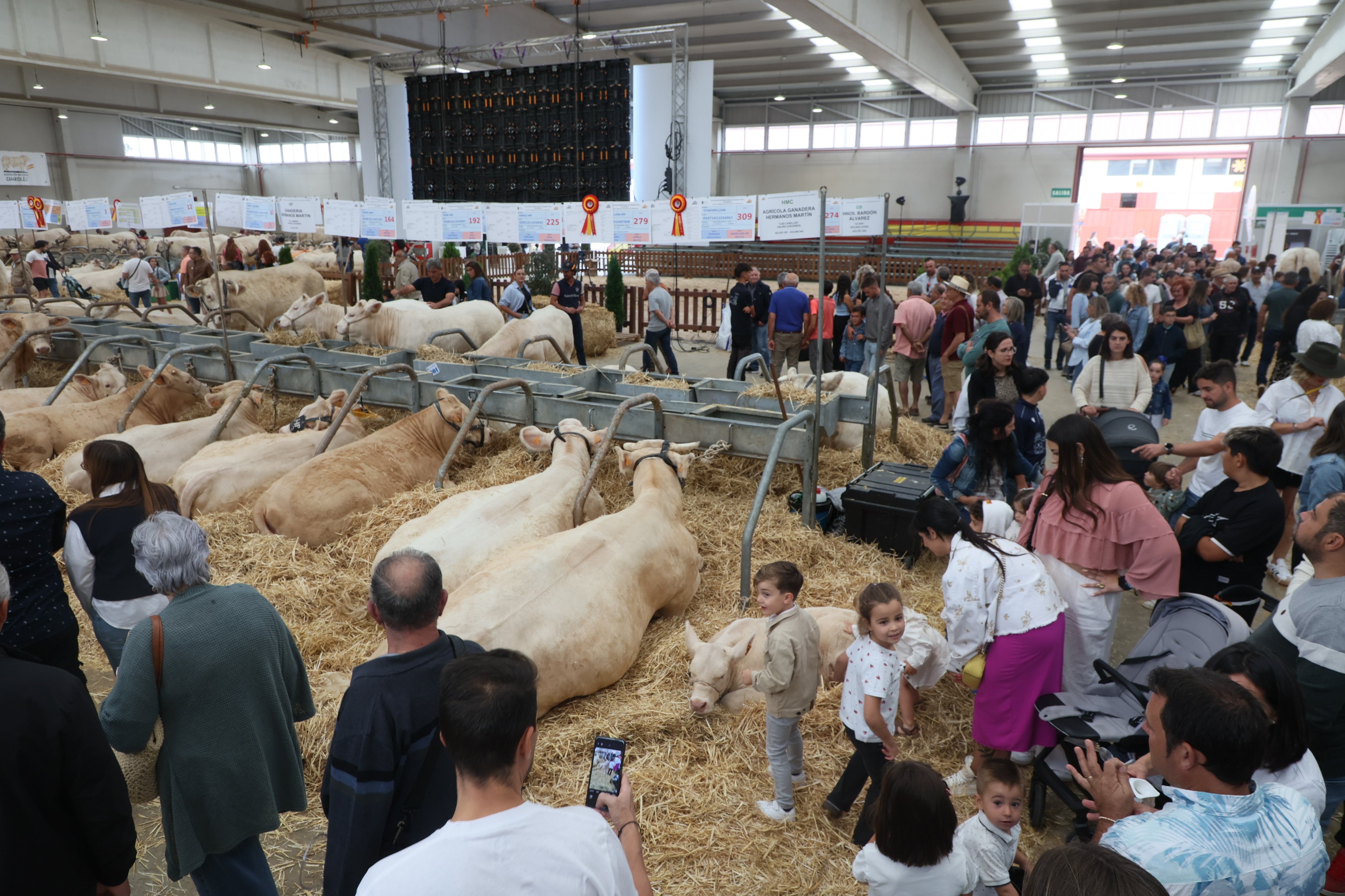 Las mejores imágenes del cuarto día de &#039;Salamaq 2025&#039;