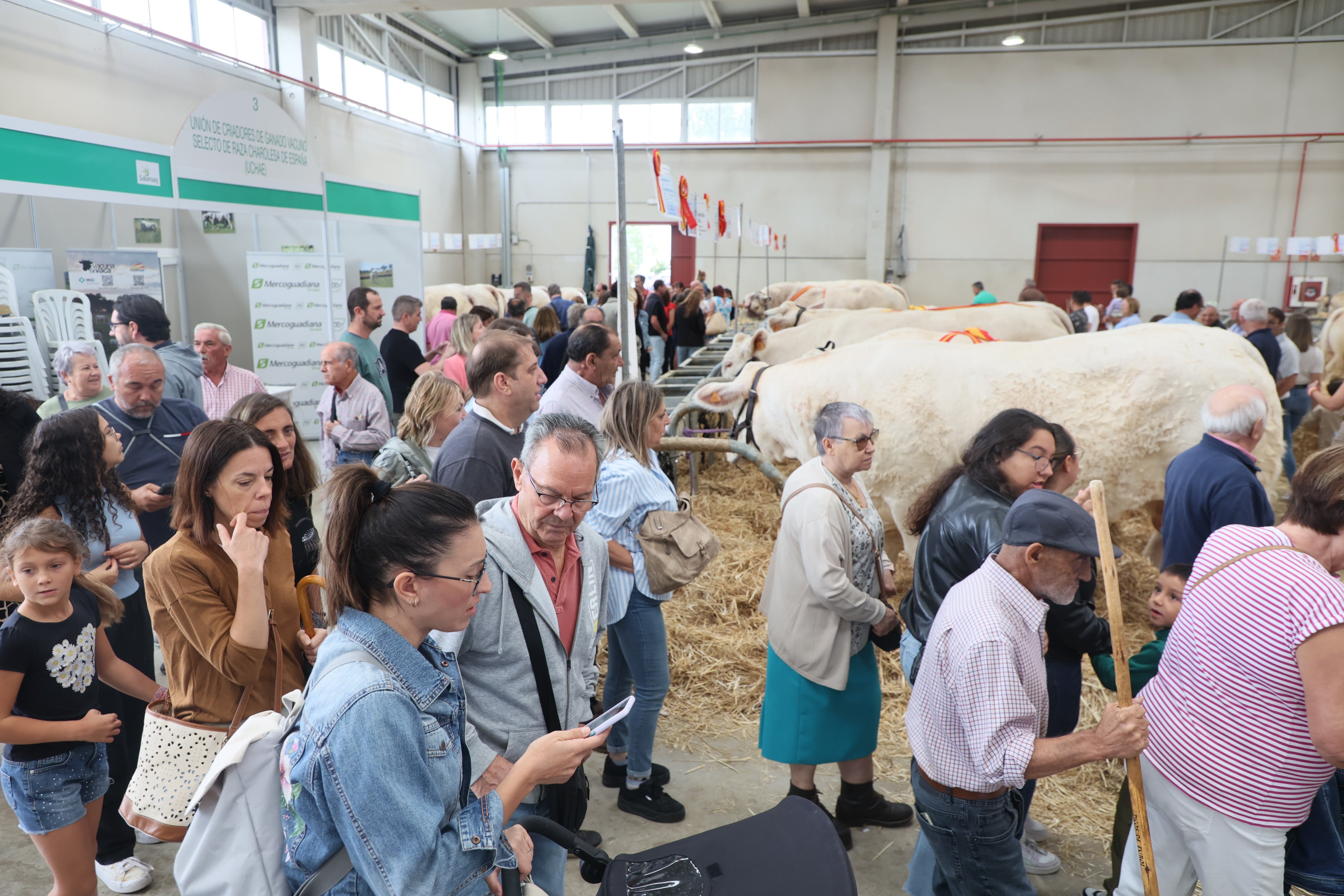 Las mejores imágenes del cuarto día de &#039;Salamaq 2025&#039;