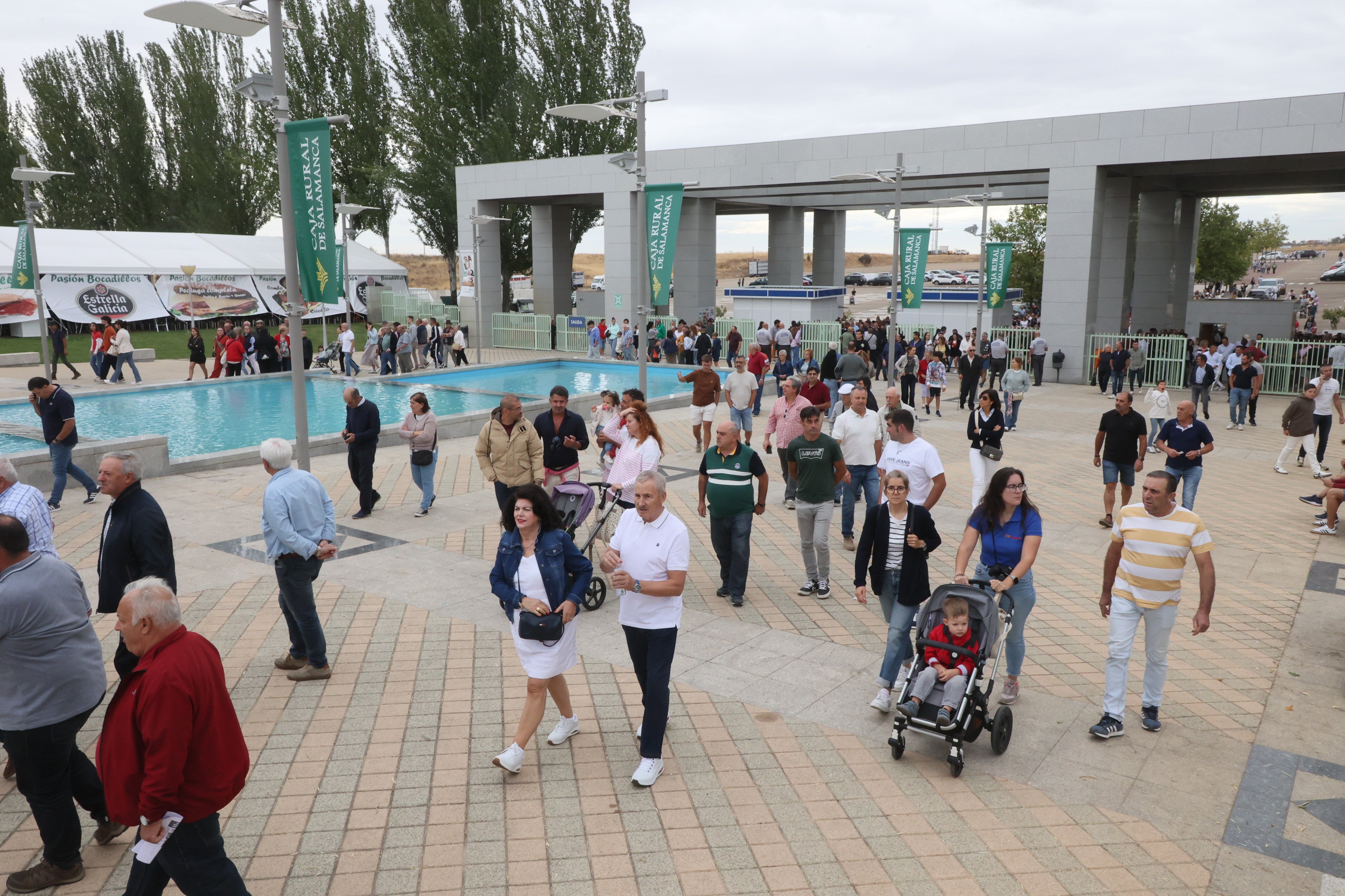 Las mejores imágenes del cuarto día de &#039;Salamaq 2025&#039;