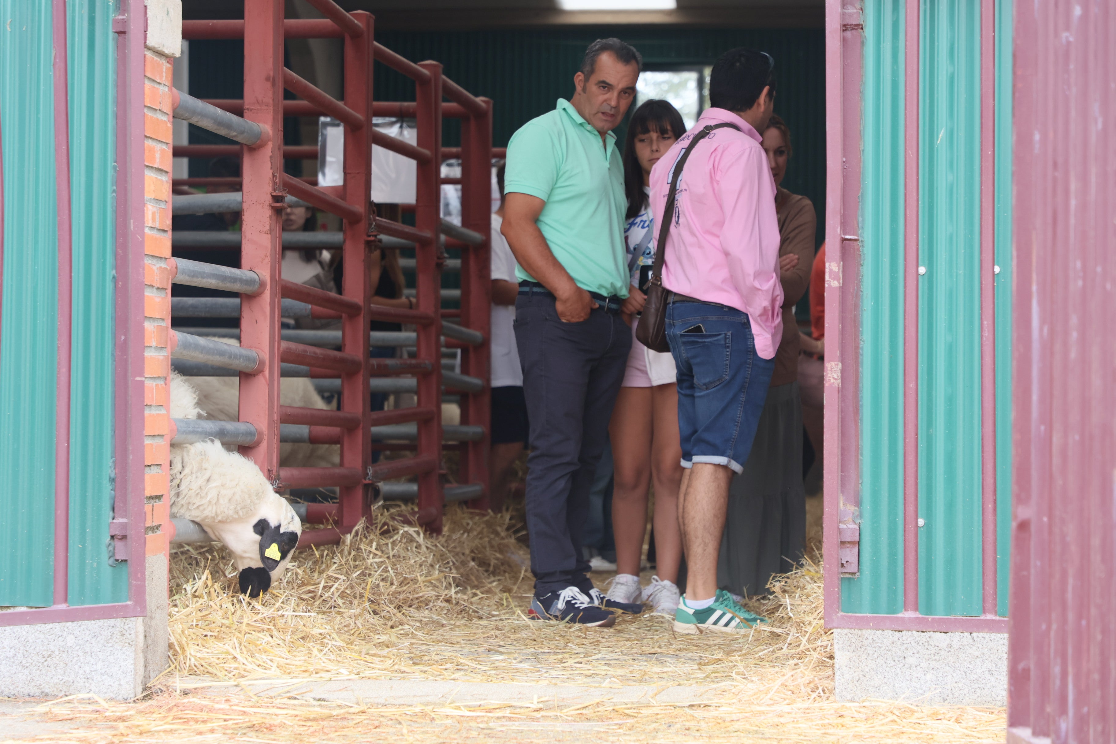 Las mejores imágenes del cuarto día de &#039;Salamaq 2025&#039;
