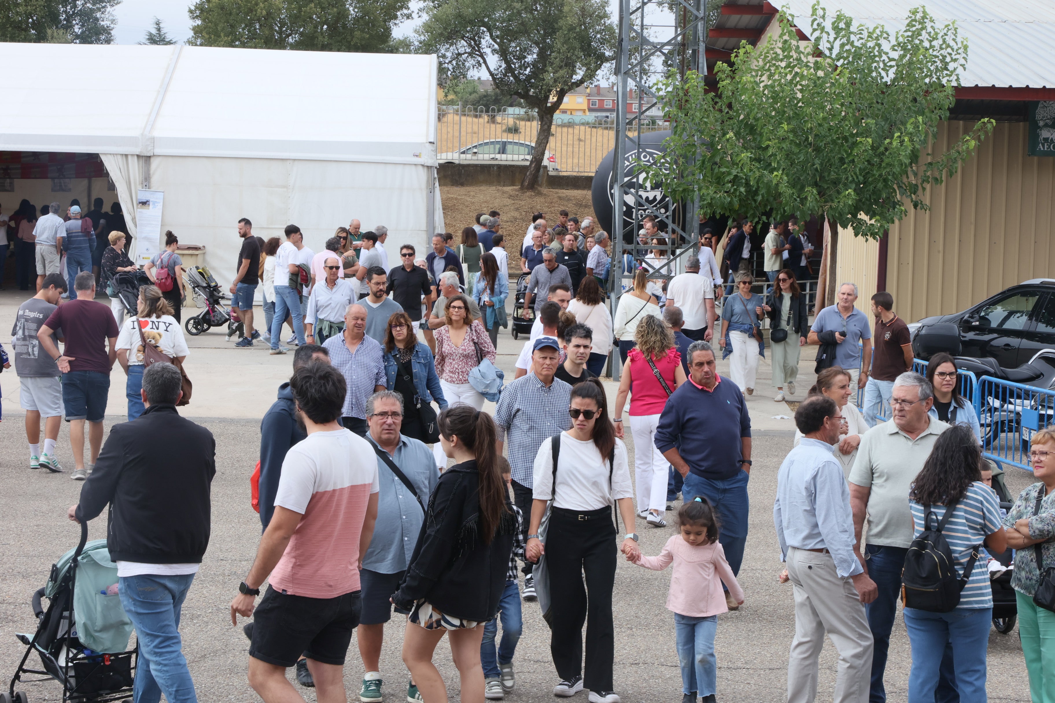 Las mejores imágenes del cuarto día de &#039;Salamaq 2025&#039;