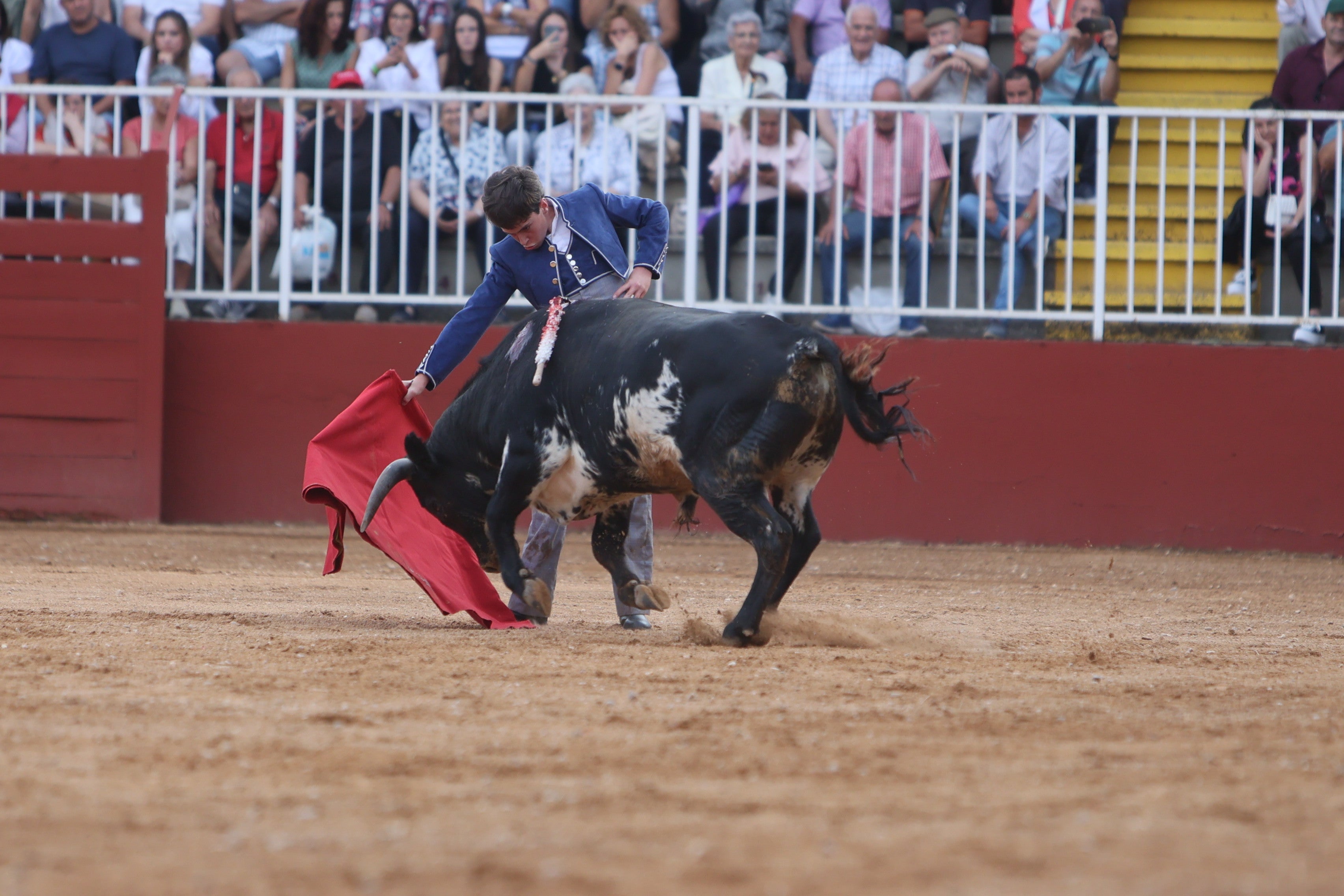 José Tomás Ortiz, triunfador en la clase práctica de tauromaquia