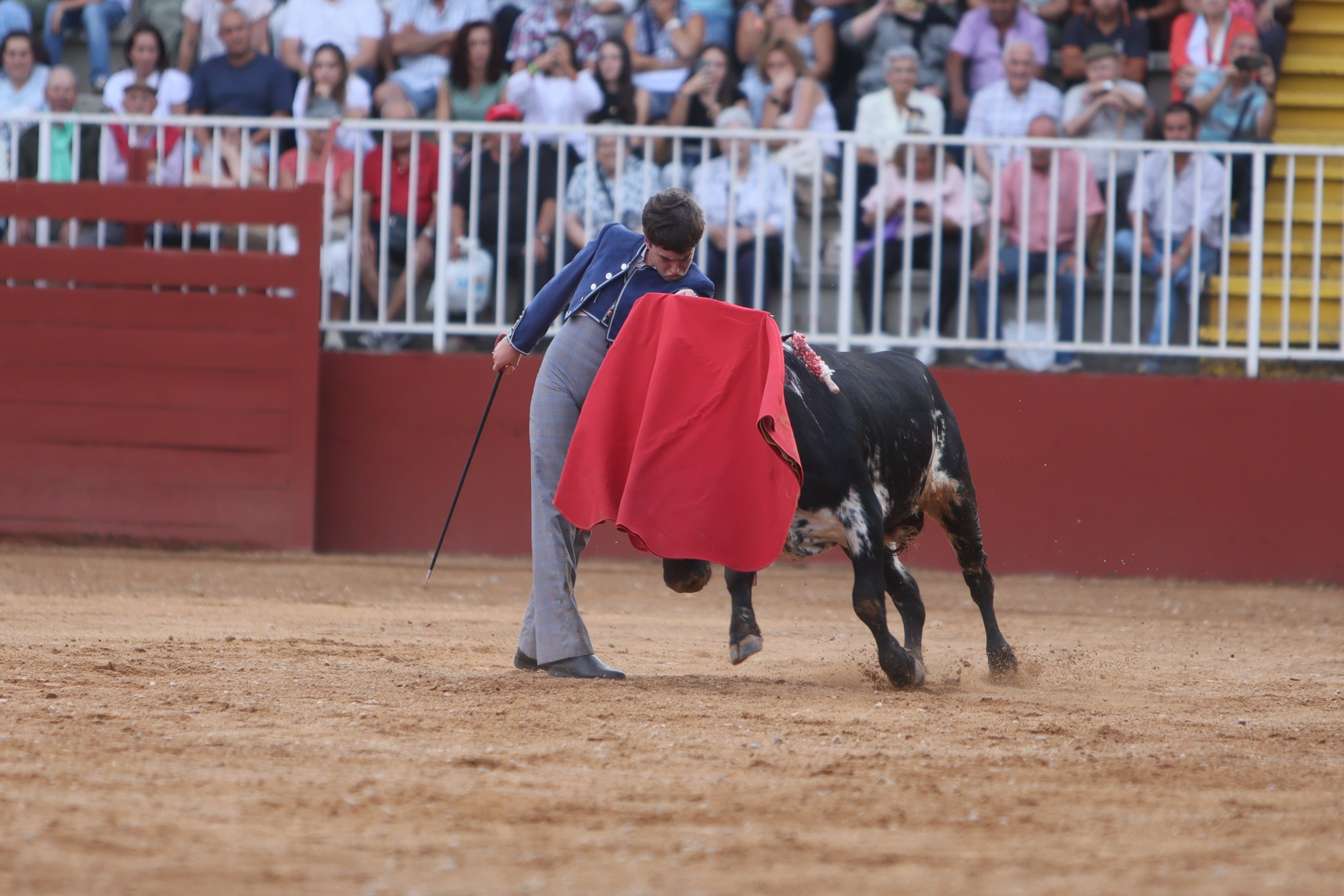 José Tomás Ortiz, triunfador en la clase práctica de tauromaquia