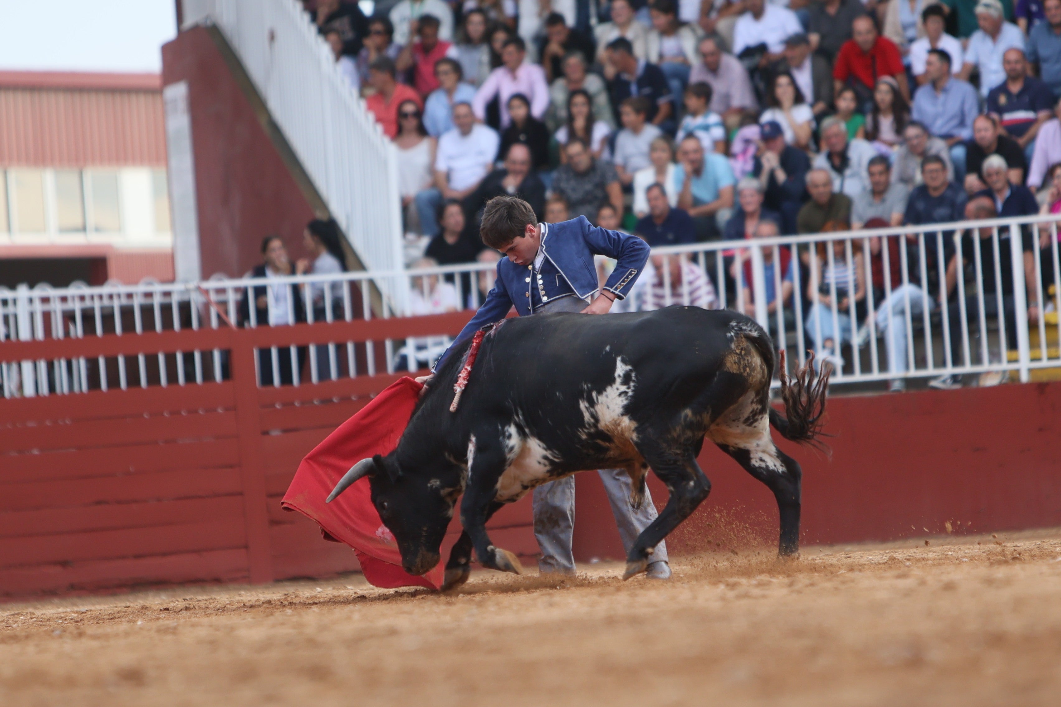 José Tomás Ortiz, triunfador en la clase práctica de tauromaquia