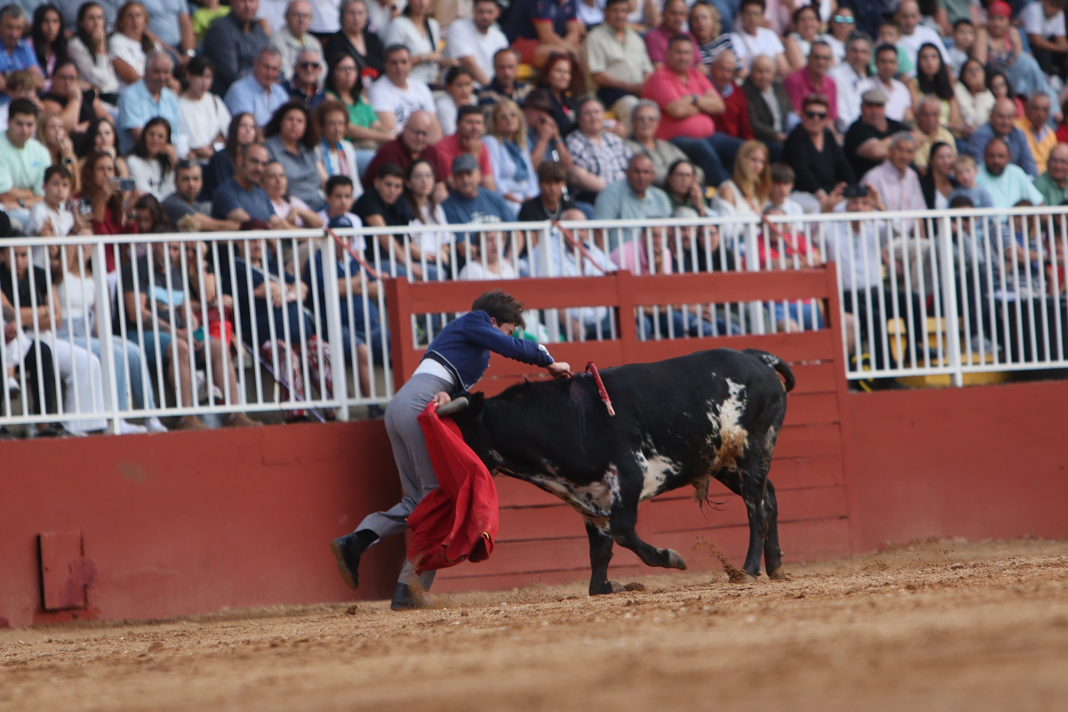 José Tomás Ortiz, triunfador en la clase práctica de tauromaquia