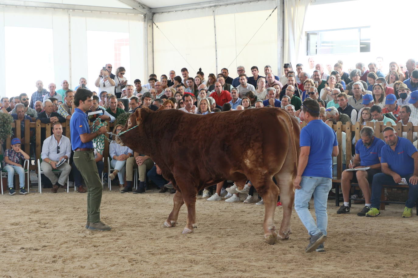 Las mejores imágenes con las que despedir el último día de &#039;Salamaq 2025&#039;