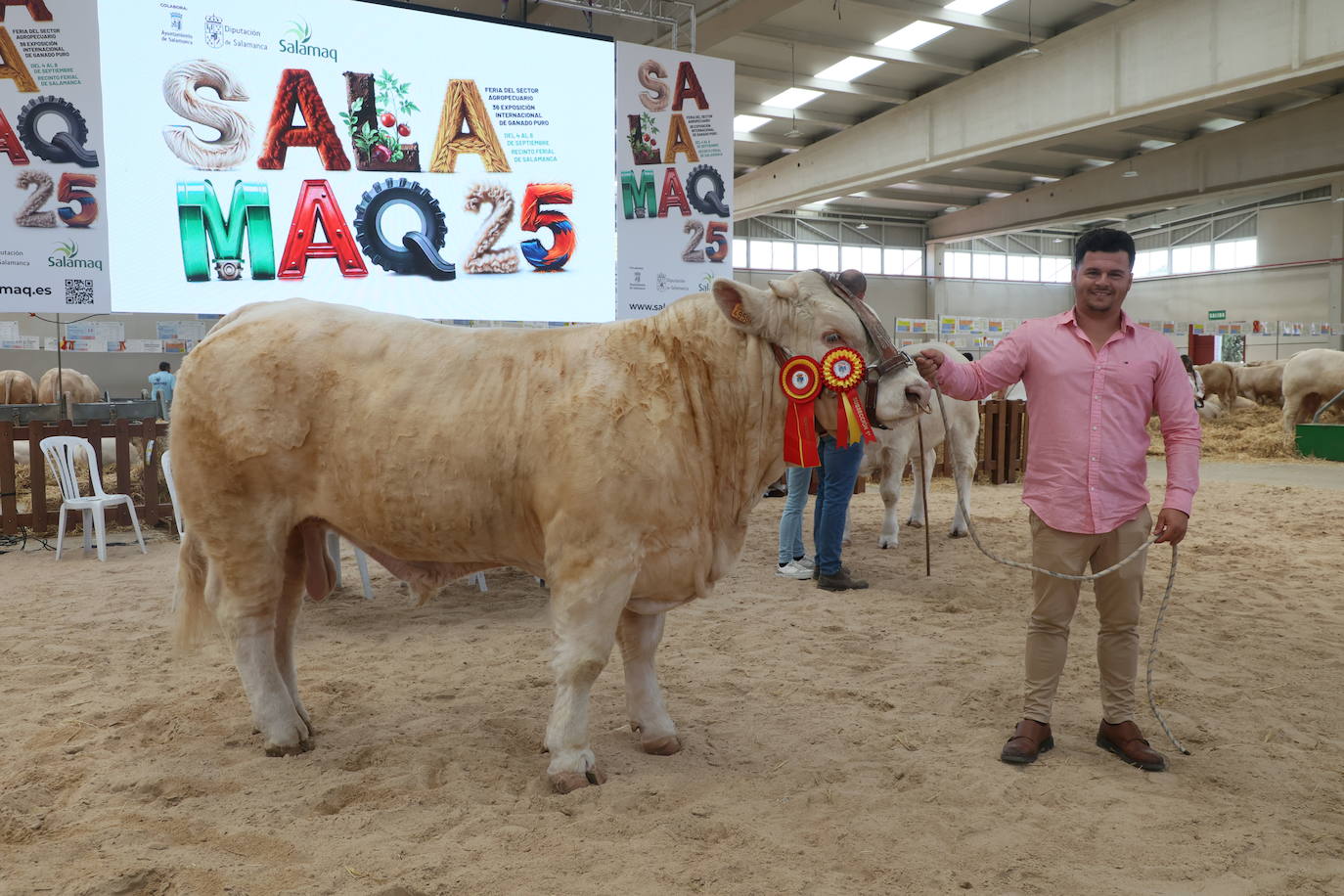 Las mejores imágenes con las que despedir el último día de &#039;Salamaq 2025&#039;