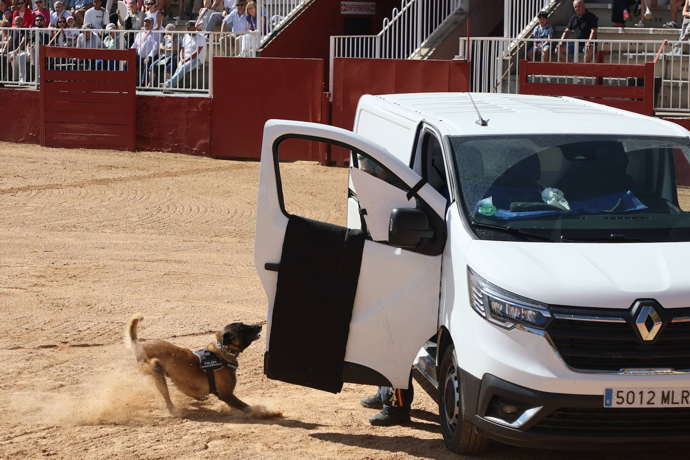 Las mejores imágenes con las que despedir el último día de &#039;Salamaq 2025&#039;