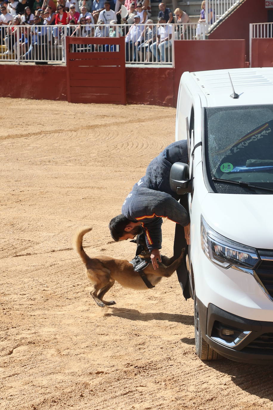 Las mejores imágenes con las que despedir el último día de &#039;Salamaq 2025&#039;