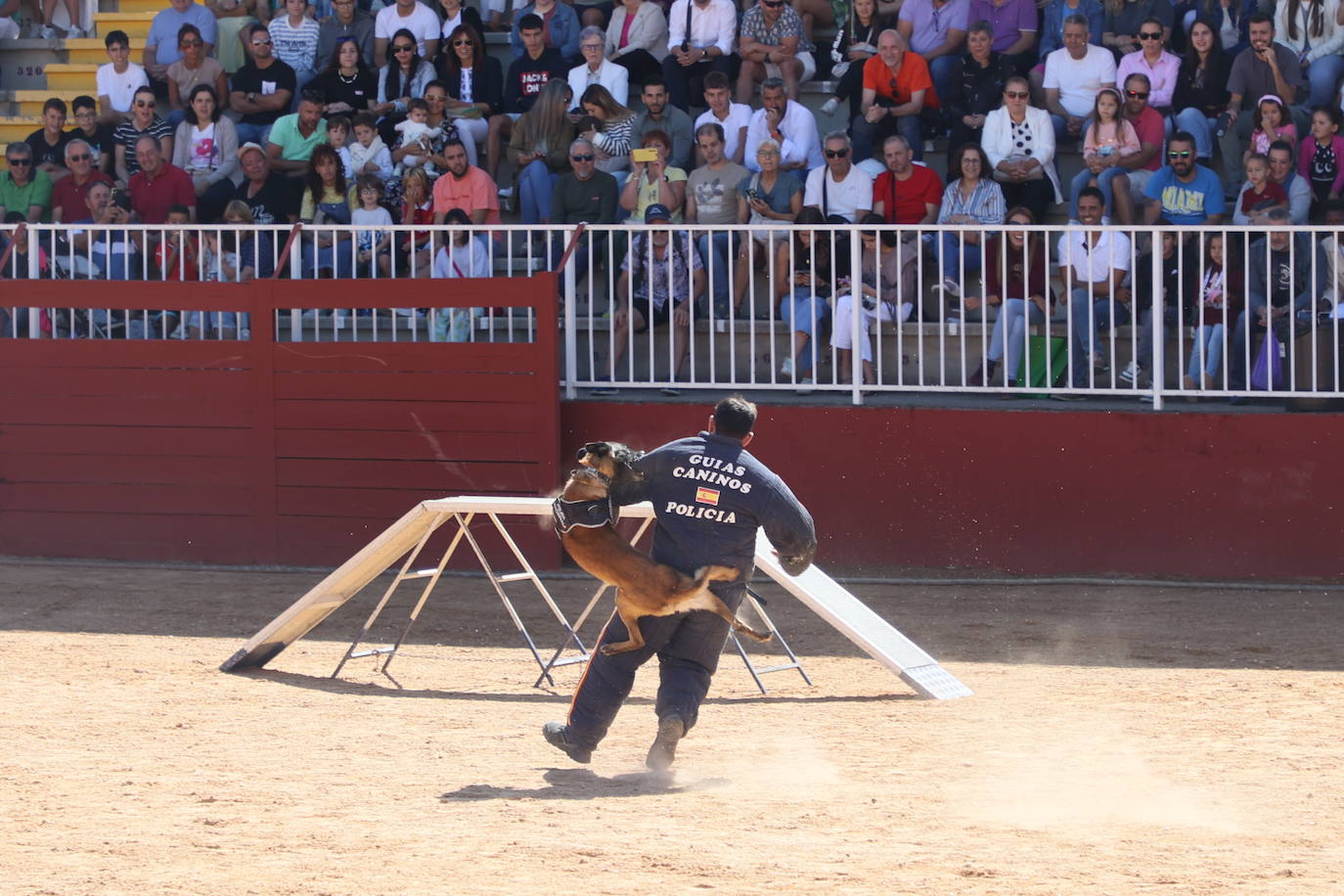 Las mejores imágenes con las que despedir el último día de &#039;Salamaq 2025&#039;