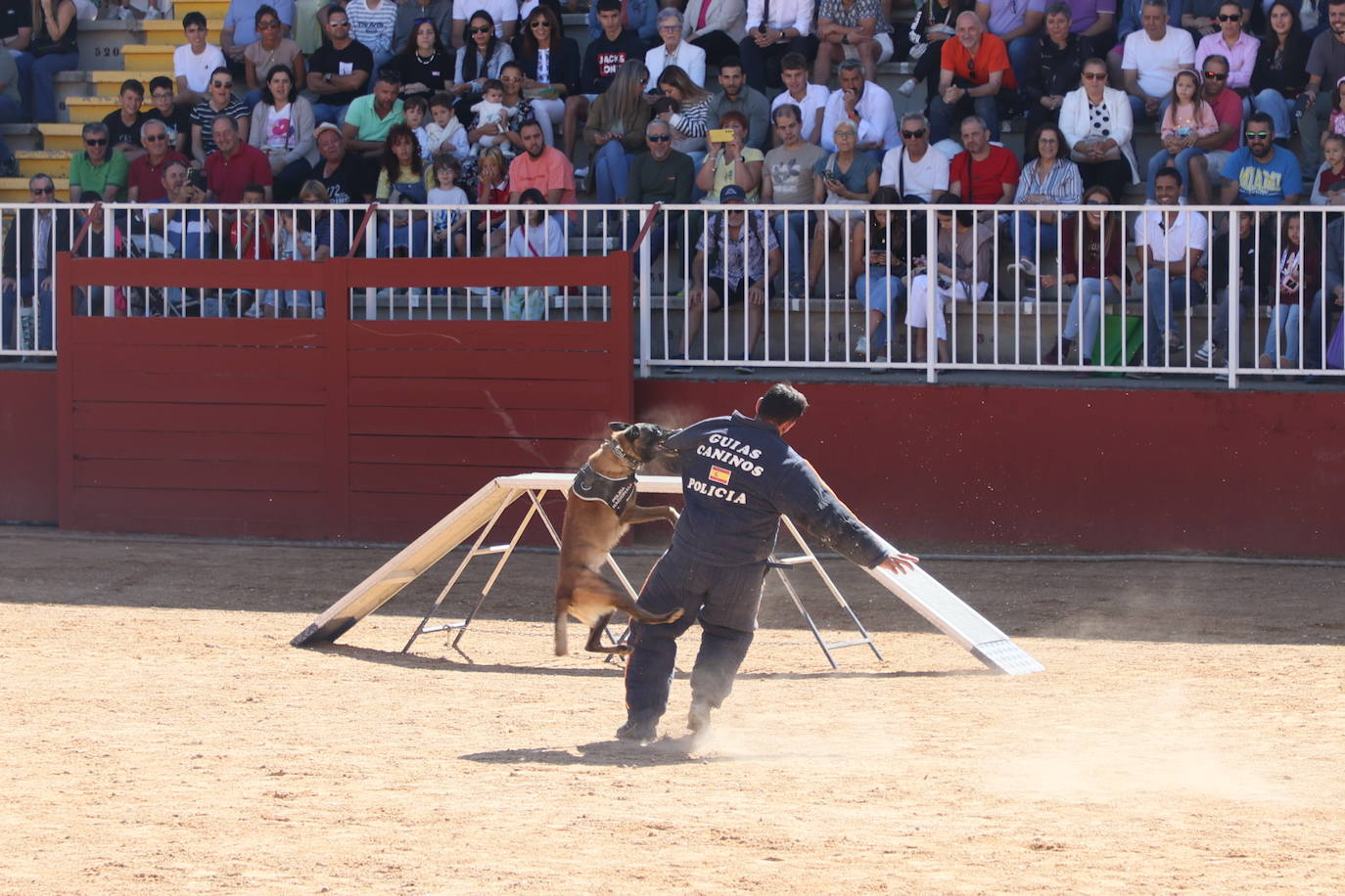 Las mejores imágenes con las que despedir el último día de &#039;Salamaq 2025&#039;