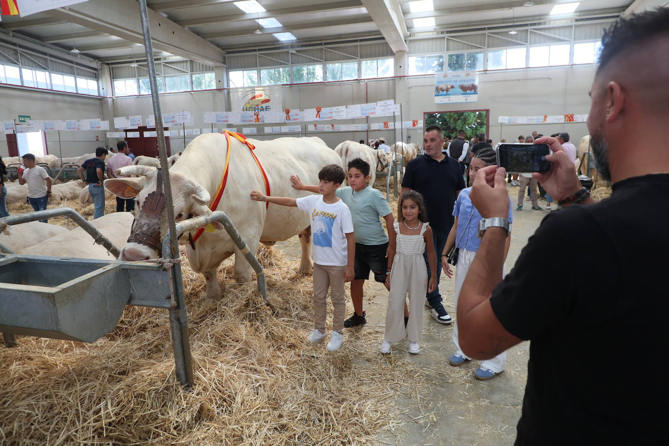 Las mejores imágenes con las que despedir el último día de &#039;Salamaq 2025&#039;
