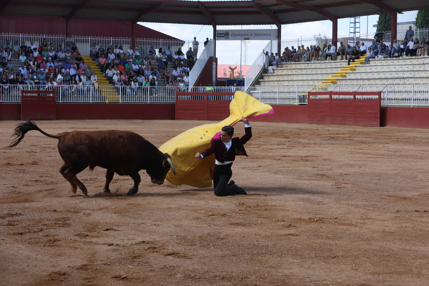 Las mejores imágenes con las que despedir el último día de &#039;Salamaq 2025&#039;