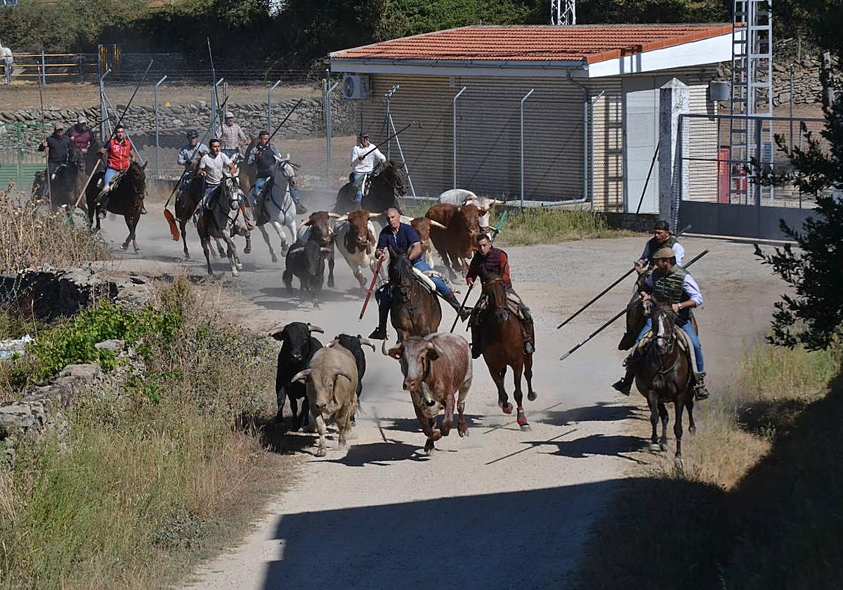 Los encierros a caballo ofrecerán emoción y belleza.
