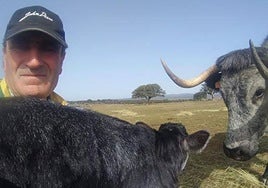 Jesús Rodríguez Ingelmo, con un ternero en brazos junto a su madre, una hembra de raza morucha.