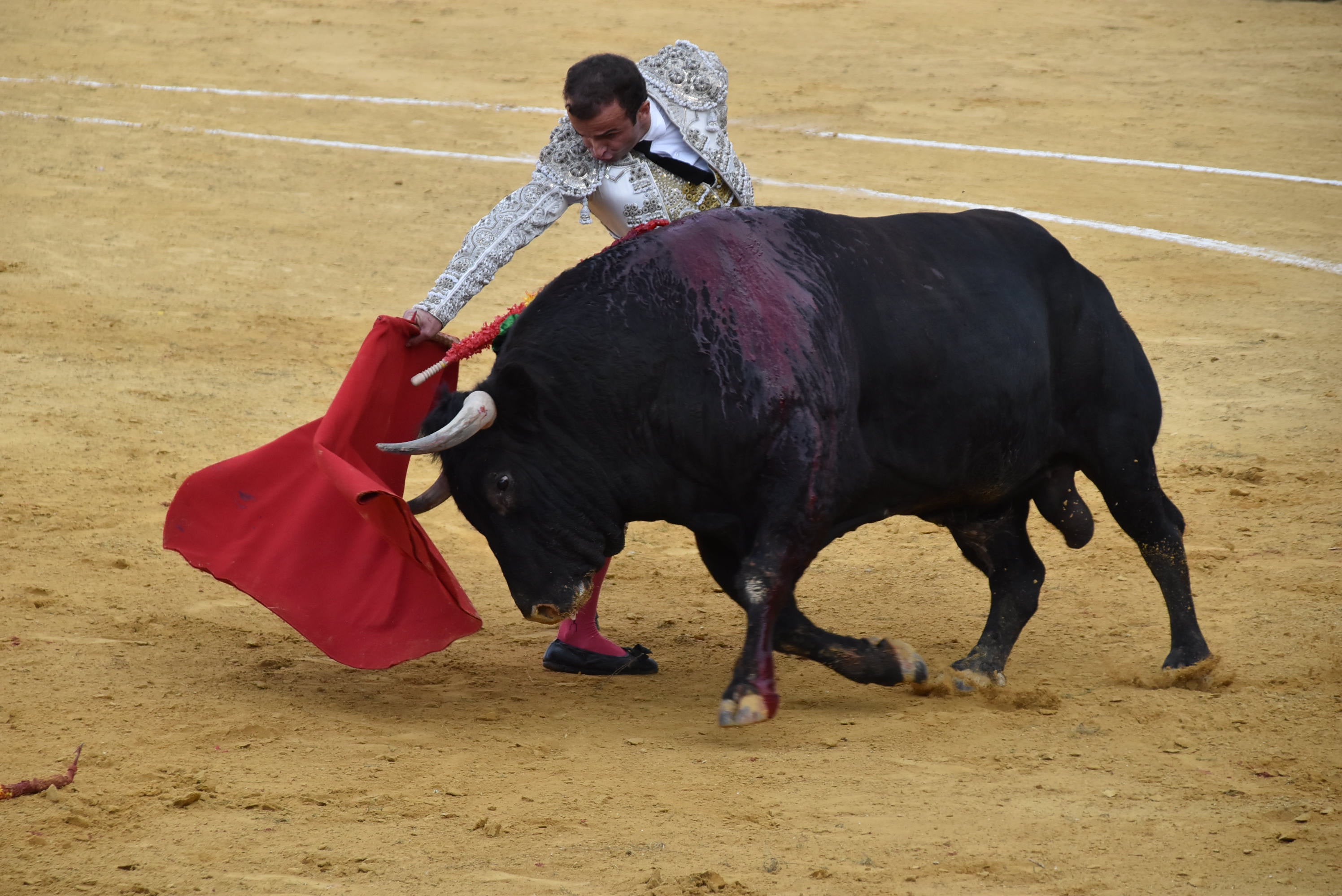 Puerta grande para Castaño, Diosleguarde y Julio Norte en la plaza de toros de Béjar
