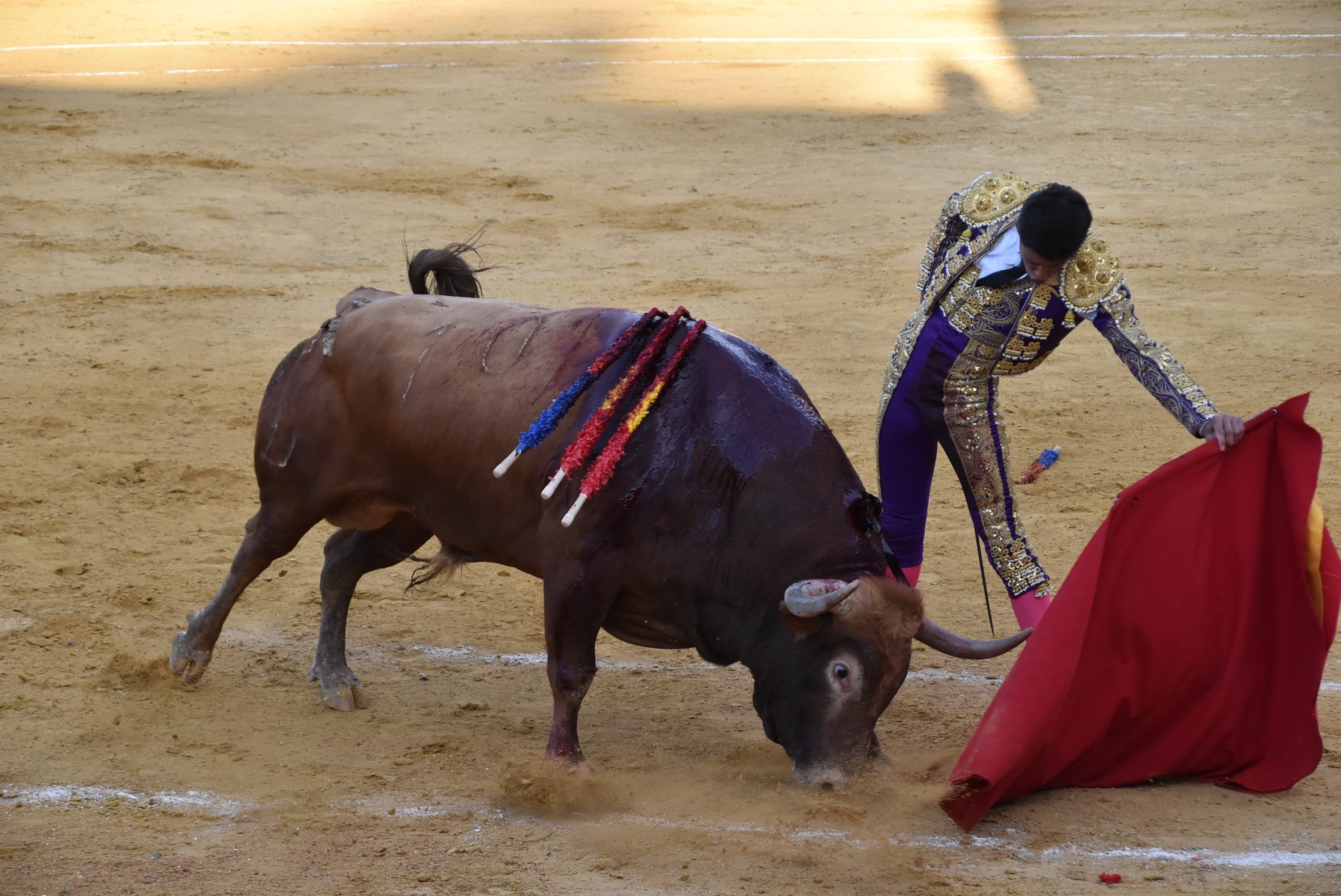 Puerta grande para Castaño, Diosleguarde y Julio Norte en la plaza de toros de Béjar