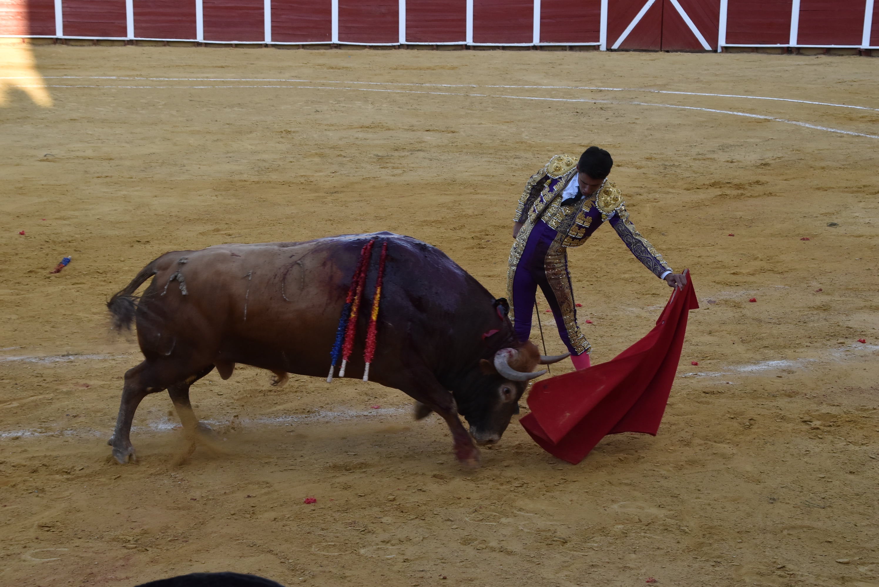 Puerta grande para Castaño, Diosleguarde y Julio Norte en la plaza de toros de Béjar
