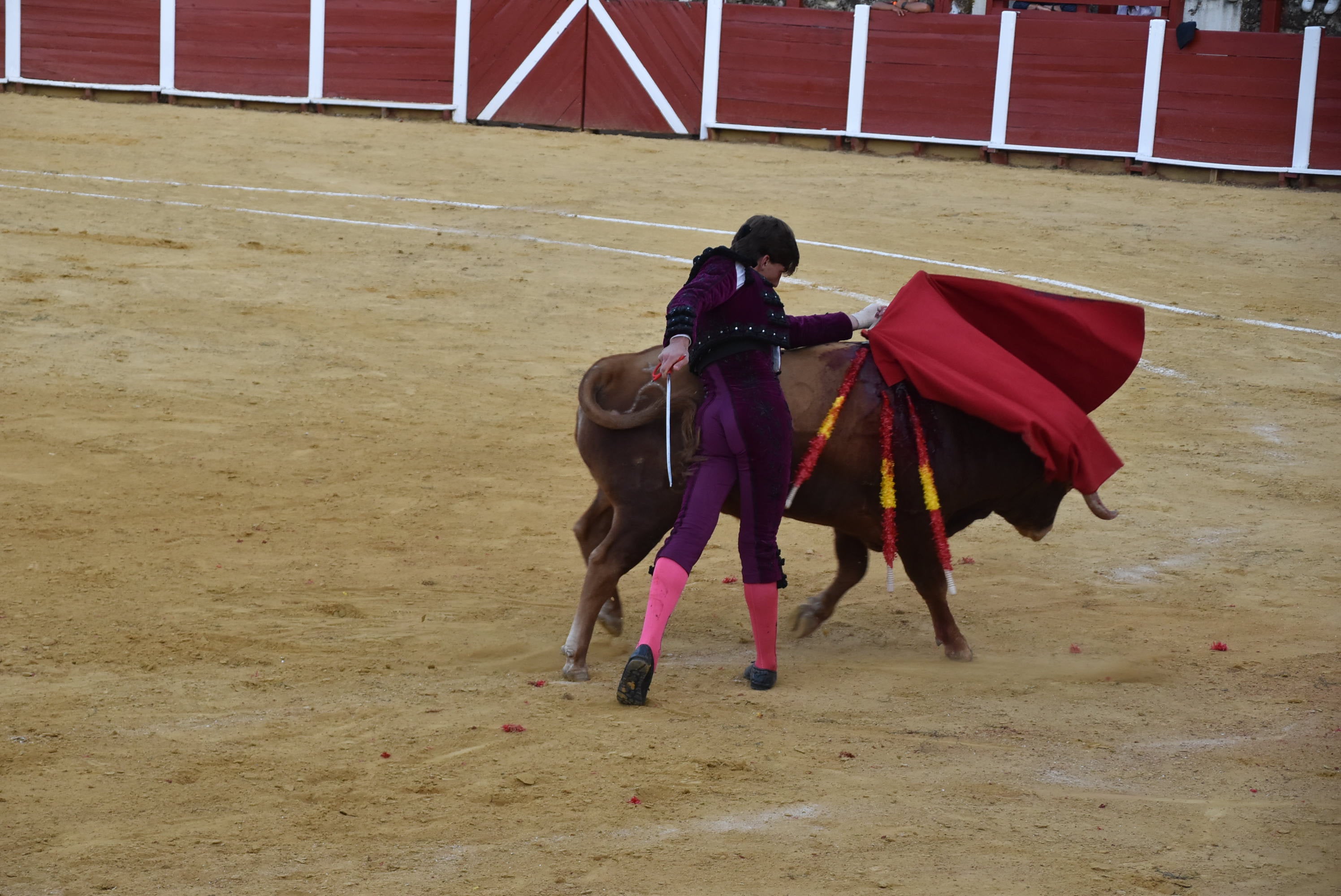 Puerta grande para Castaño, Diosleguarde y Julio Norte en la plaza de toros de Béjar